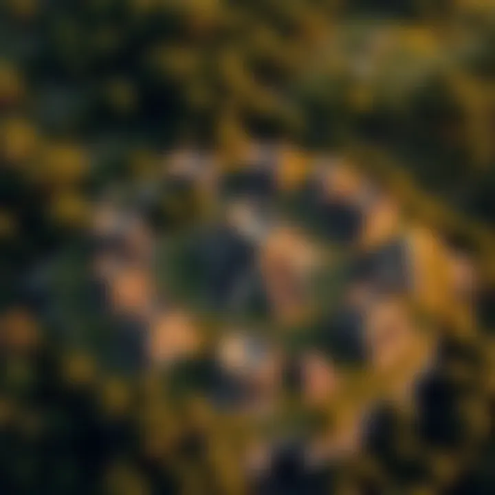 Aerial view of ancient Aztec clusters showcasing stone structures and green surroundings
