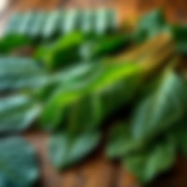 Fresh baccy leaves arranged on a wooden table, showing their rich texture and green color, symbolizing the current trends in baccy for 2026.