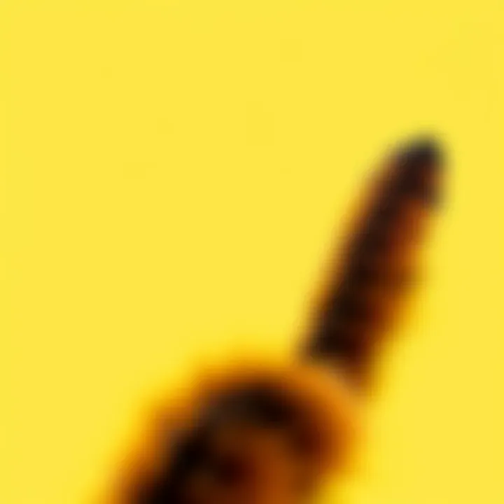 A bright yellow background with a prominent brown tail appearing in the foreground, suggesting calmness with a hidden danger.