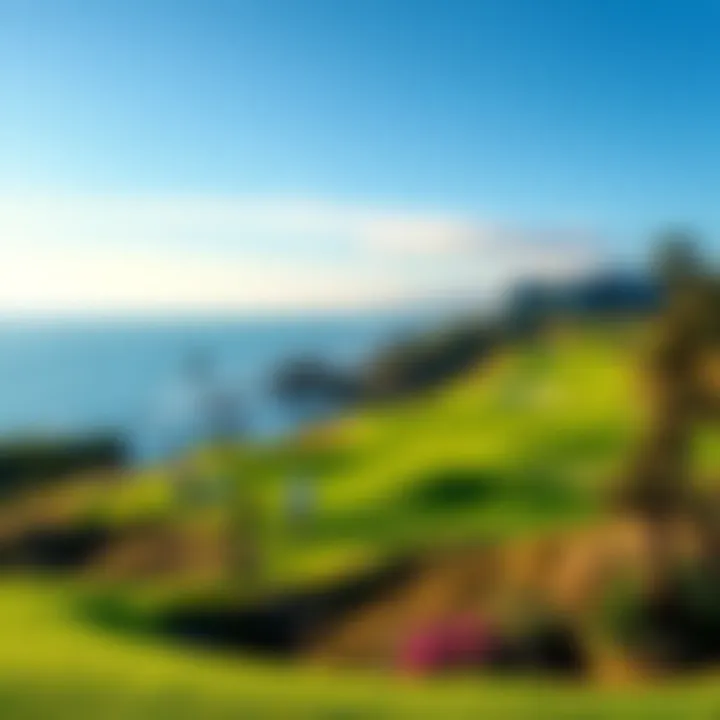 A beautiful coastline overlooking the ocean at Pebble Beach with lush green grass and golfers enjoying the scenic view.