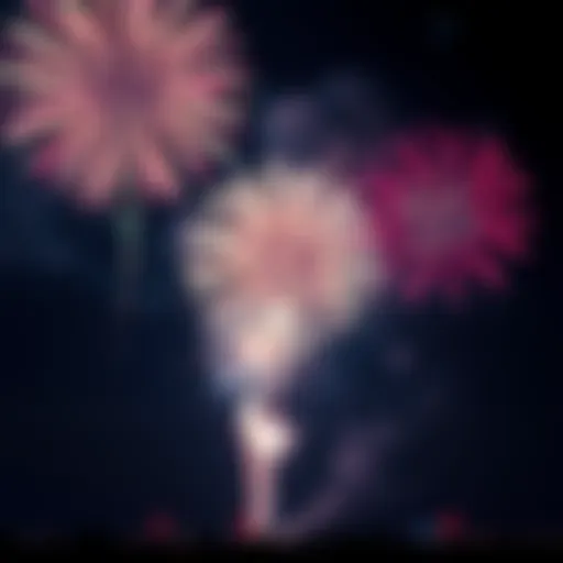 Colorful fireworks exploding in the night sky during a 4th of July celebration