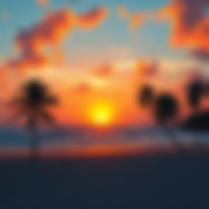 A beautiful sunset at a Florida beach with palm trees and calm waves