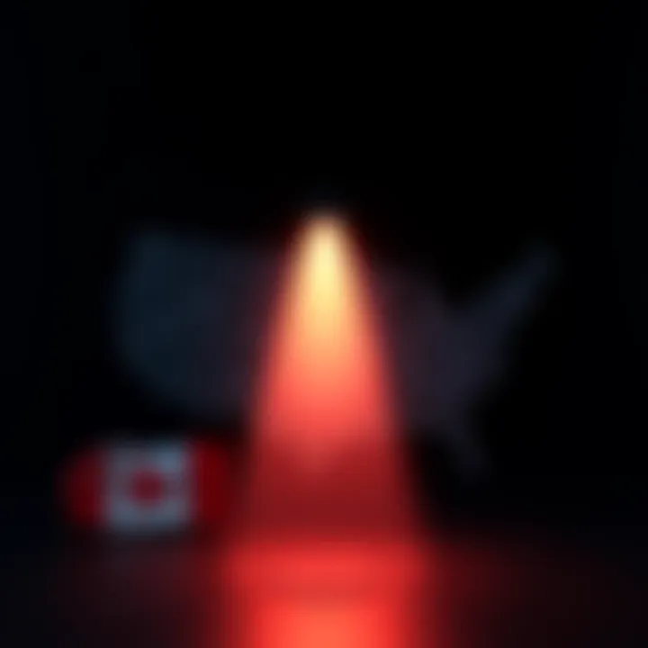 Impact of AD Void in USA A graphic showing a map of the USA with a spotlight on advertising trends, contrasting with Canada which remains unaffected, highlighting the differences in ad regulations.