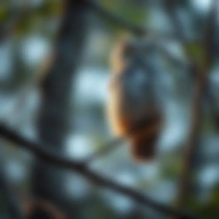 A wise-looking owl sitting quietly on a tree branch, symbolizing wisdom and insight.