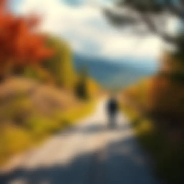Path to Sobriety A person walking on a clear path surrounded by nature, symbolizing a journey towards a life free from gambling.