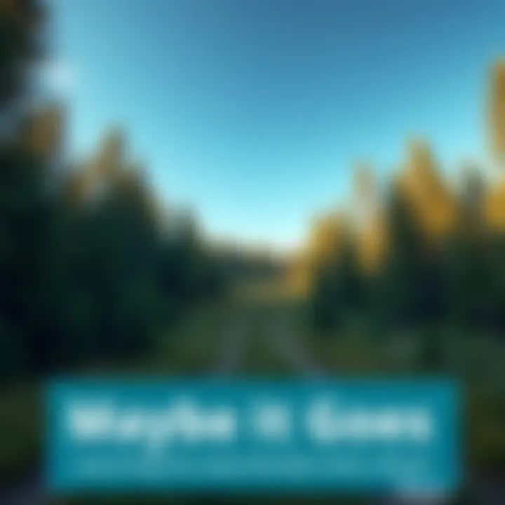 A view of a forest with multiple trails leading in different directions under a blue sky