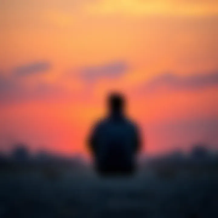 A person sitting alone, looking pensively at a sunset, symbolizing missed chances and emotional impact.