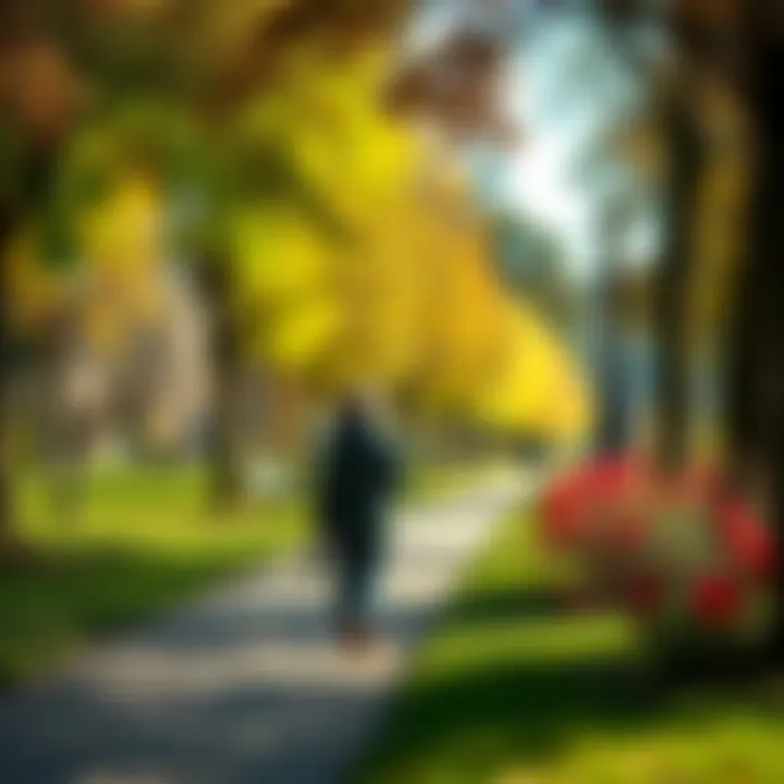 Person walking in a park A person enjoying a walk in a sunny park surrounded by trees and flowers