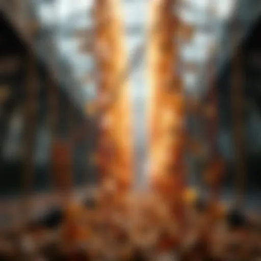 A person warming up seeds while practicing limbo, focusing on different strategies to improve performance.