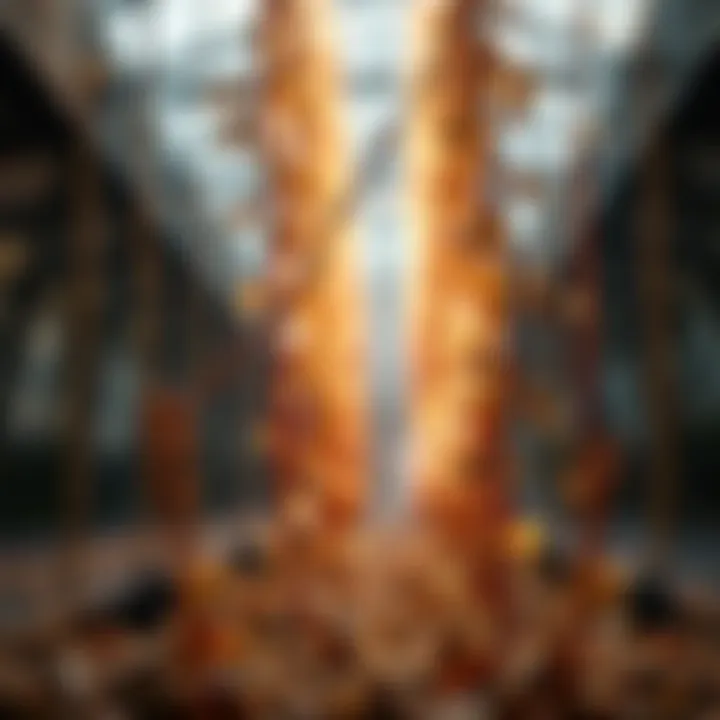 A person warming up seeds while practicing limbo, focusing on different strategies to improve performance.